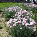 동남공원 이미지