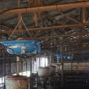 진기농장 이미지