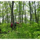 송강목장 이미지