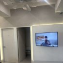 청담눈초롱안과동물병원 | 강아지 안과, 국내 최초 안과 청담눈초롱안과동물병원 방문후기