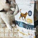 퍼스트독앤캣 | 동결건조코팅사료 피모관리 헤어볼 체중과 장건강까지, 더독앤캣 콰트로 고양이 사료 후기