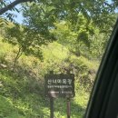 순식목장 이미지