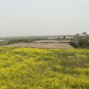 빌롱스테이 이미지