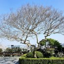 용해동행정복지센터 이미지