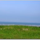 솔숲과 바다 이미지