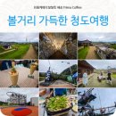 한재천 | 청도 가볼만한곳 아이와 찾기 좋은 청도 여행 코스