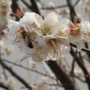 누리농장 이미지