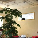 용산초등학교 앞 이미지