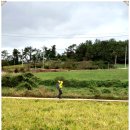 신월선착장 이미지