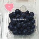 다온농장2 이미지