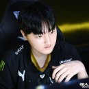 페이즈
