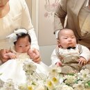 안녕아가 | 서울 목동 삿뽀로 쌍둥이 아가들의 출장 백일상 실제후기(소규모돌잔치)