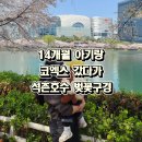 석촌호수 서호(카페 앞) | 14개월 아기랑 올해 4월 석촌호수 벚꽃 나들이 | 코엑스 주차 후 지하철 이동