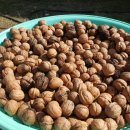 초원농장 이미지