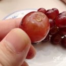 허허포도농원