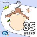 동아2차세탁 | [35주차 기록] 일하고 맛있는 거 먹기, 허유재 분만전검사(막달검사), 신생아 빨래 준비, 35주차 태동...