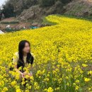 산들꽃펜션 | [남해 바닷가 펜션] 위치&amp;가성비 최고인 &#39;산들바다펜션&#39; 솔직후기 (ft.다랭이마을펜션, 남해 여행 숙소)