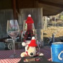 진경원민박캠핑장 이미지