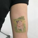 J.PET 티스토리
