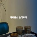 강릉초당카페 '카페콥스' 추천 들깨커피, 초당옥수수커피 솔직 후기