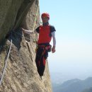 비둘기길 이미지