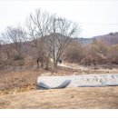 한성양계장 이미지