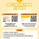 시즌제주