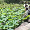 부흥 마을회관 이미지