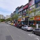 국수나무 화봉점 이미지