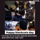 알고보니 ‘ 검은 고양이의 날’이 생일이었던 ‘다홍이 아빠 박수홍’ 이미지