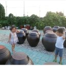 꽃피는민박 이미지