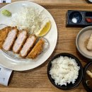 카츠올로지