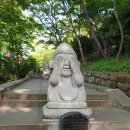 물속풍경 | 여수 남해바다 명소 향일암 풍경 여행 후기