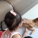 부영평화마트 | (누나가 된) 짹짹이의 일상(1)_(동생이 된 쭈글이)