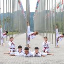 용인대 백호 태권도 이미지