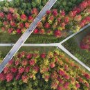 안남공원 이미지