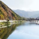 덕송리 경향신문