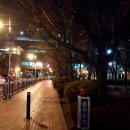 본오동 626-311 주변 | 날이 좋지 않아서... 더보기 (제주 2박3일)