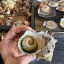 울산조개창고