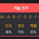 한쿡 이미지