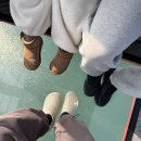 스카이스포츠타운 | 춘천 삼악산 케이블카 • 5살 아이랑 크리스탈캐빈 타고 스카이워크까지 다녀온 후기