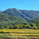 사포마을 이미지