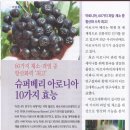 아로니아 - 공주시 신관로 50 | 아로니아