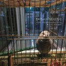 안골목장 이미지