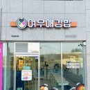 장성김밥 이미지