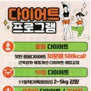 리즈핏점핑체온