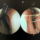 노즈랩의원 이미지