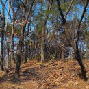 미곡2리 이미지