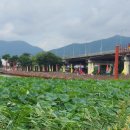 국도6호경강 이미지