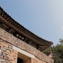 49호도시락
